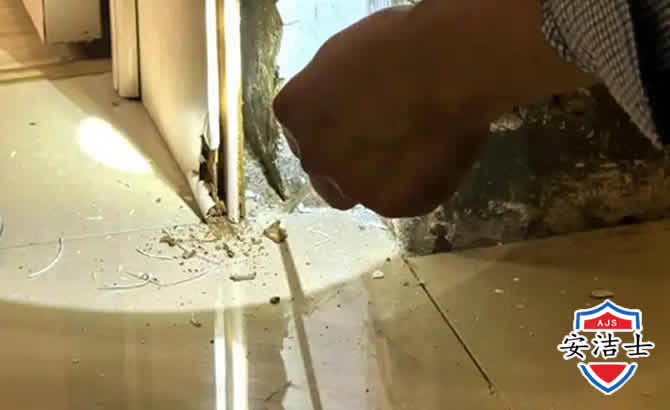 遂昌房屋建筑防治白蚁