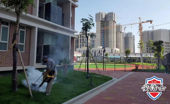 遂昌工厂工地除白蚁