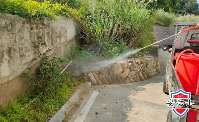 遂昌道路堤坝白蚁防治