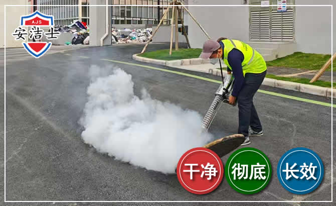 遂昌消杀防疫现场