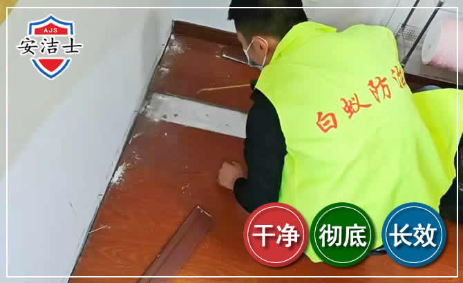 遂昌除四害现场