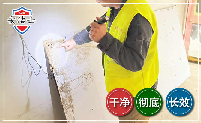 遂昌除白蚁现场