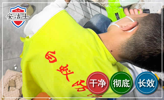 遂昌白蚁根治现场